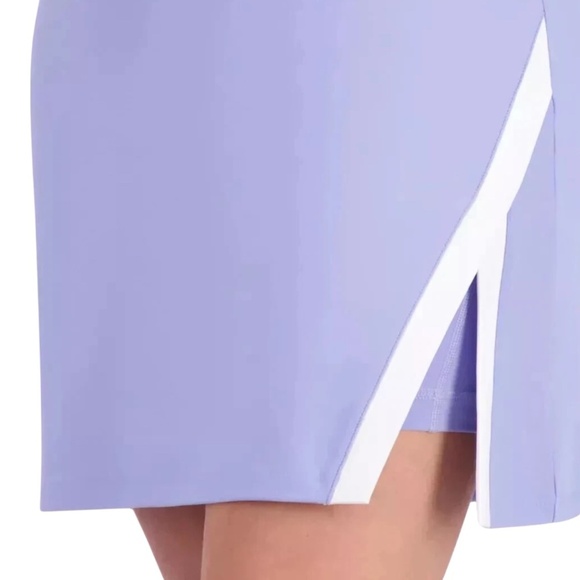 SAGE COLLECTIVE Periwinkle Sport / Tennis Dress w/ Shorts 1/4 Zip Front Sz L - Picture 12 of 13